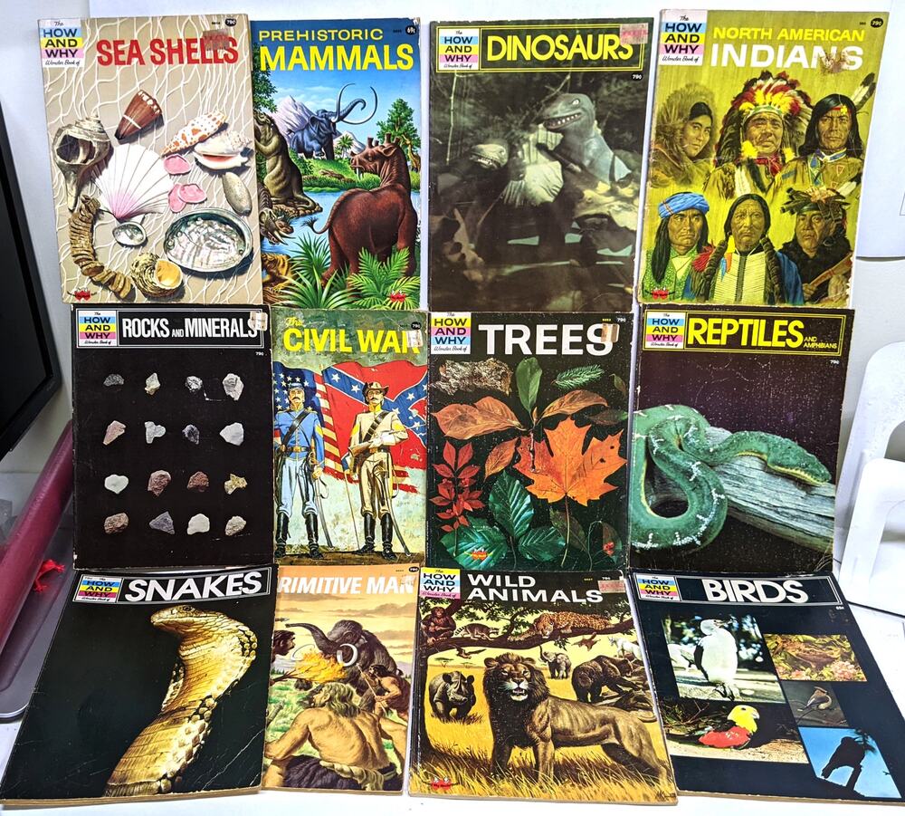 Book Lot 12 Vintage How and Why Wonder Children's Books Classroom Educational